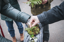 Peoples hands place foliage, ferns and green plants into a plastic bag
